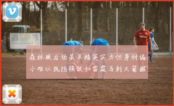 森林狼后场虽具精英实力但身材偏小难以抵挡强敌如雷霆马刺火箭掘金
